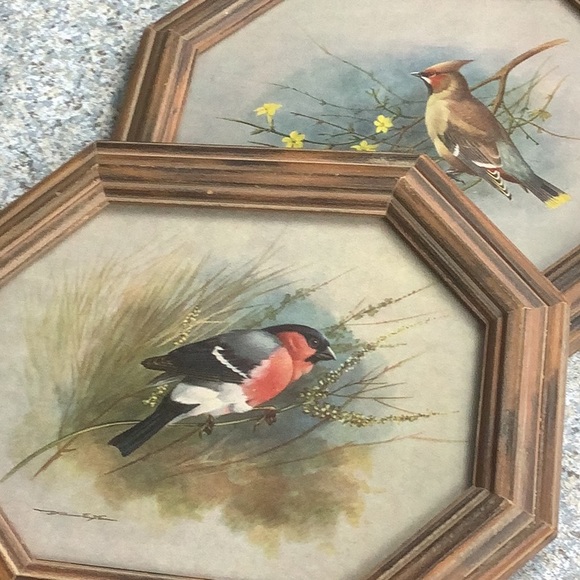 Vintage bird art John M. Karges set of 2 - Picture 1 of 13